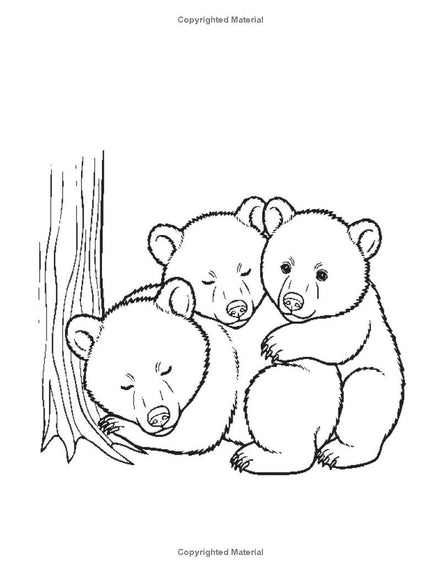 Happiness: I LUV EZ Coloring Book