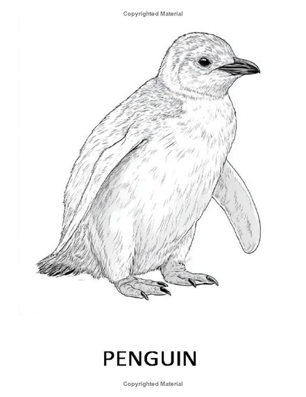 I LUV Bird-Watching: I LUV EZ Coloring Book