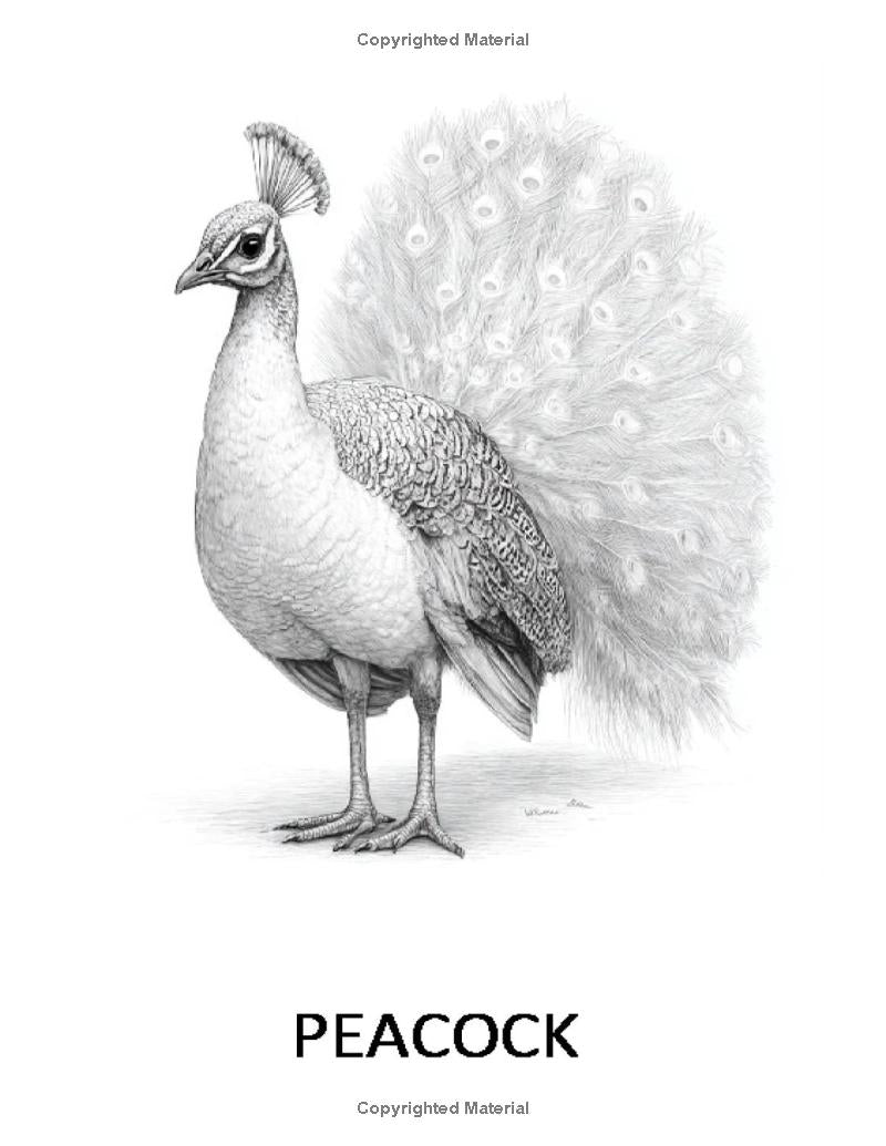 I LUV Bird-Watching: I LUV EZ Coloring Book