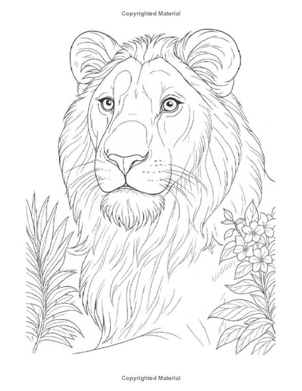 Animals in the Wild: I LUV EZ Coloring Book