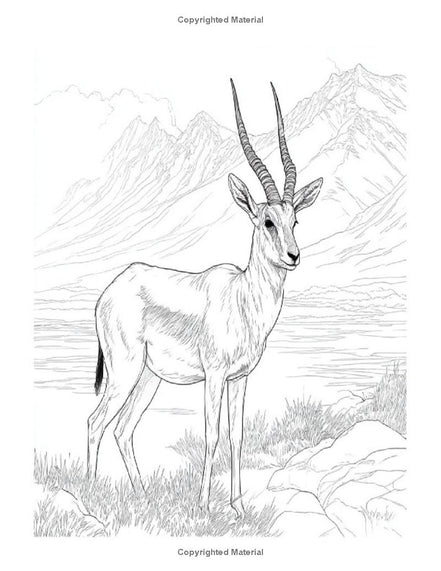 Animals in the Wild: I LUV EZ Coloring Book
