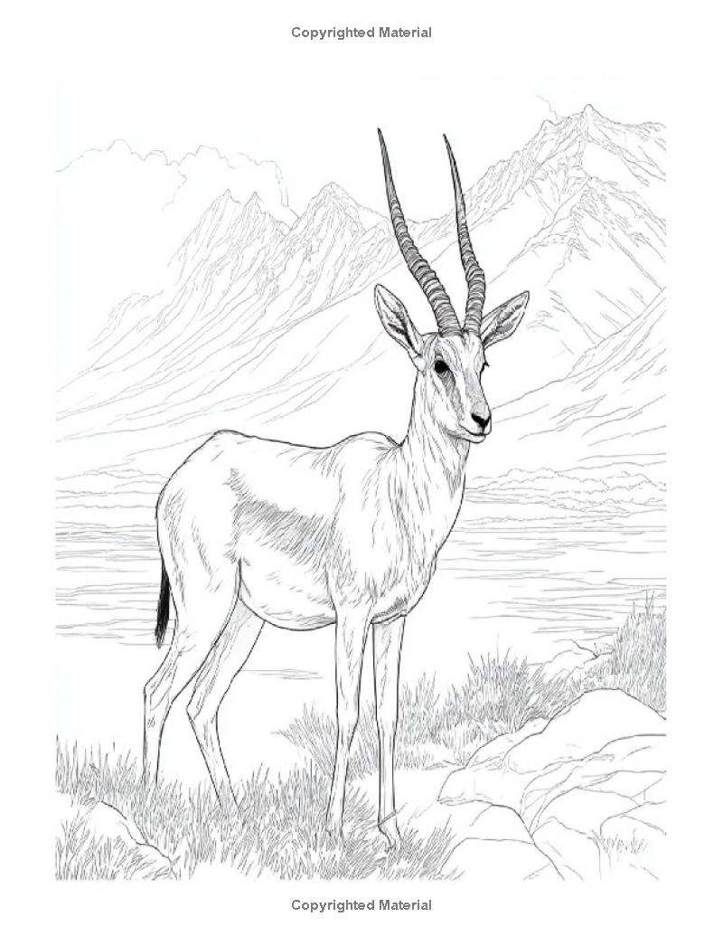 Animals in the Wild: I LUV EZ Coloring Book
