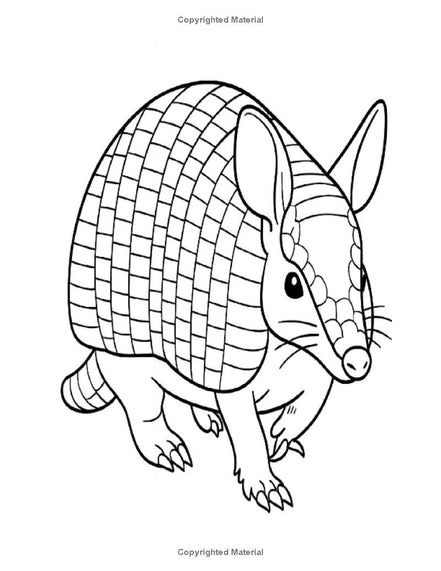 Cute EZ Animals: I LUV EZ Coloring Book