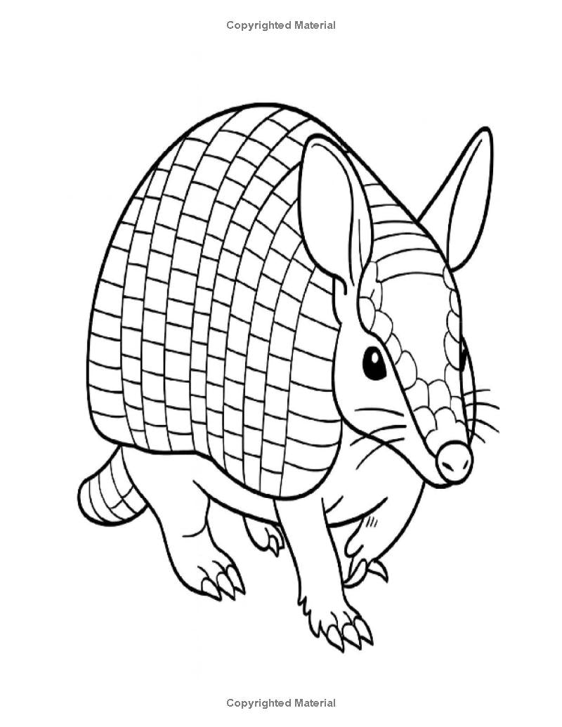 Cute EZ Animals: I LUV EZ Coloring Book