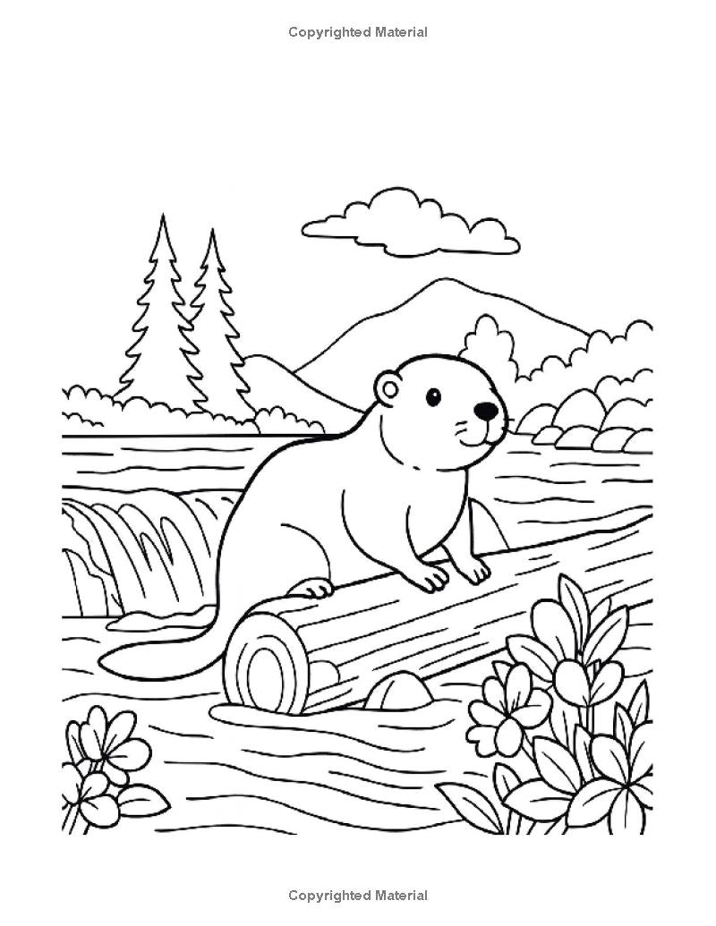 Fun EZ Animals: I LUV EZ Coloring Book