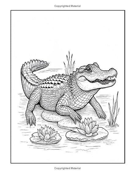 Animals Life-Like: I LUV EZ Coloring Book