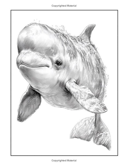 Animals Life-Like: I LUV EZ Coloring Book