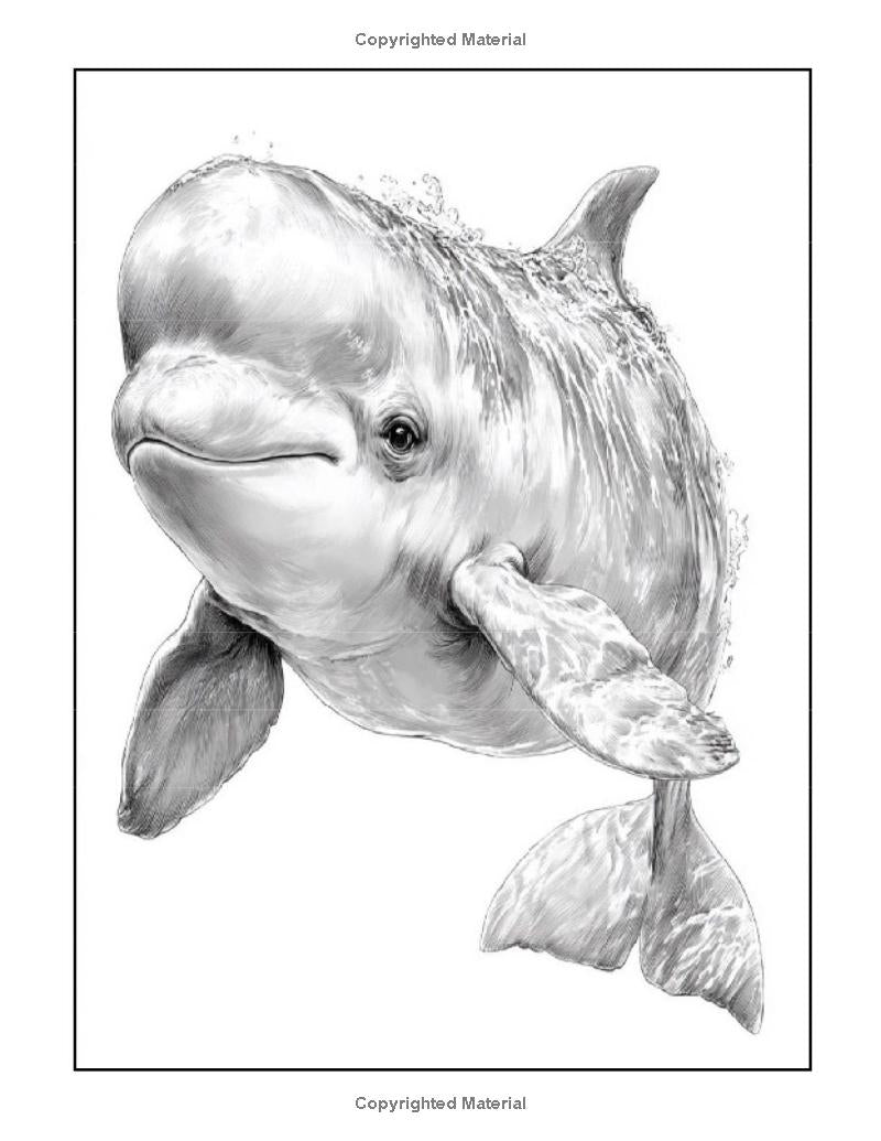 Animals Life-Like: I LUV EZ Coloring Book