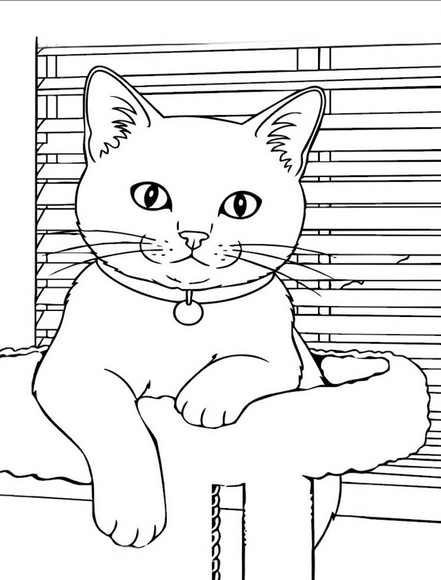 Happiness: I LUV EZ Coloring Book